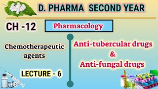 Anti tubercular drugs  Anti fungal drugs  DOTS  CH12  L6  Pharmacology  DPharm second year [upl. by Daria]