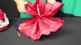 How to Make Paper Pom Poms [upl. by Constantia535]