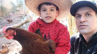 Pequeno HOMEM ARANHA E A CAÇA AOS OVOS DAS GALINHAS [upl. by Nodyroc]