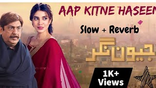 Aap Kitne Haseen slowreverb song  Jeevan Nagar drama Ost Song song pakistanidrama ost [upl. by Bartolomeo]