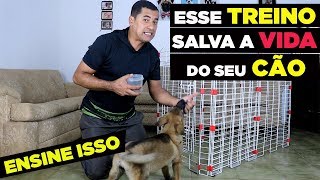 ANSIEDADE DE SEPARAÇÃO  PREVINA EM 99 COM ESSE TREINO [upl. by Leahcam56]