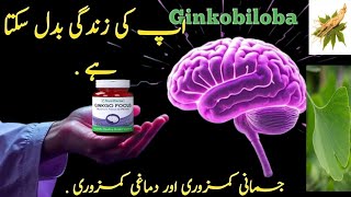 👻 کھانے کی حیرت انگیز اثرات  GINKOBILOBA [upl. by Clifford]