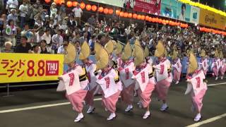 「阿呆連」市役所前演舞場 8月13日1部 徳島阿波おどり2013 [upl. by Noslen]