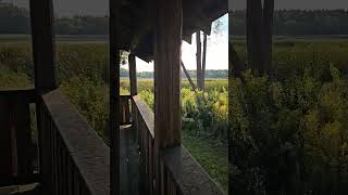 Moraine Hills Illinois State Park [upl. by Bergmann]