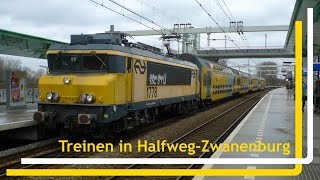 Treinen op station HalfwegZwanenburg  4 maart 2017 [upl. by Hollyanne]