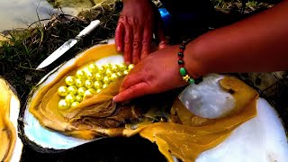 what are pearls in oysters  oysters with pearls opening  how do oysters make pearls  fishing 4k [upl. by Atil605]