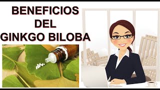 BENEFICIOS DEL GINKGO BILOBA [upl. by Demahum]