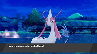 How to Catch Milotic  Pokémon Sword amp Shield [upl. by Dianuj]