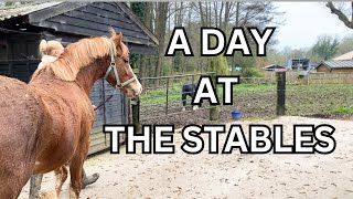 A DAY AT THE STABLES  SHEATH CLEANING [upl. by Imekawulo225]