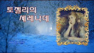 토젤리의 세레나데 Tosellis Serenade  Andre Rieu  Natural fantasy [upl. by Baudelaire]