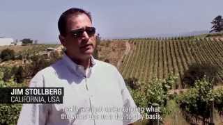 Drip Solution for Wine Grapes in California USA Netafim Customer Testimonial [upl. by Yelwah986]