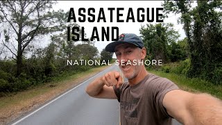 Assateague Island National Seashore vs Assateague State Park [upl. by Ayotol]