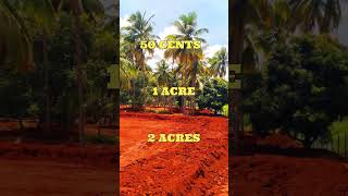 470 acres Agriland for sale in nachiplayam Near 50 cents onwards separate land agrilandforsale [upl. by Peri]