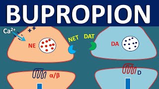 Bupropion Wellbutrin  How it works Uses Side effects and Precautions [upl. by Levania]