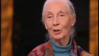 Jane Goodall on Role Zoos Play in Saving Wild Animals [upl. by Omocaig]