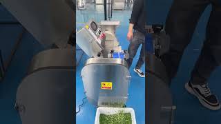 Why do canteens and central kitchens like to equip such double headed vegetable cuttersviralvideo [upl. by Clevie372]