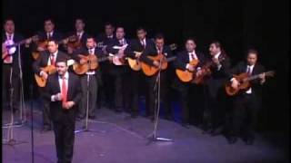 Al final del Camino  Rondalla del Pitic [upl. by Yramliw]