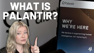 Understanding Palantir What the Company Really Offers [upl. by Malynda]