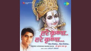 Shri Krishna Naam Dhun [upl. by Gnes]