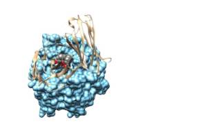 Proteinprotein interaction inhibition [upl. by Ilarin]