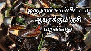 கடல் சிப்பி சமையல்  கடல் சிப்பி மசாலா செய்வது எப்படி  mussels Recipe  kallika thodu masala tamil [upl. by Attelrak]