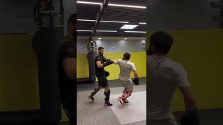 😳 KHAMZAT CHIMAEV SHOCKED BY SPARRING PARTNER [upl. by Ednihek87]