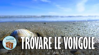 Come trovare le vongole  Ca Savio VE [upl. by Maloney]