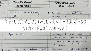 Difference between Oviparous and Viviparous animals 12th Biology [upl. by Lanni641]