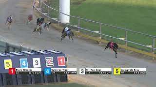 Gawler27102024Race5 [upl. by Ruiz]