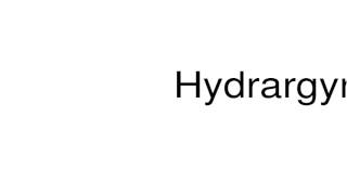 How to pronounce Hydrargyrum [upl. by Adnohsek]