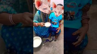 😂😂😂Lalla Lalla Lori dudh ki Katori🤣🤣🤣 Lalla Kare Tamasha🍚🍚🍚🍚🤣🤣😻😻😻😃😃😃😛😛😛🍚🍚🍚🍚 funny cute viral short [upl. by Mauceri]