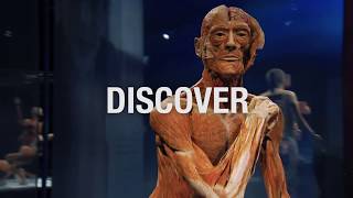 Gunther von Hagens BODY WORLDS  Opens 6th October in London [upl. by Alcott]