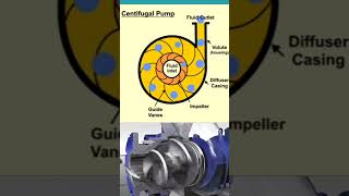 Centrifugal Pump Working 📌 [upl. by Rodmann]