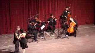 SARI GELIN  STRING INSPIRATIONS QUINTET 31052008 [upl. by Nnalatsyrc]