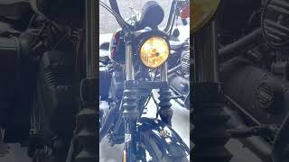 HarleyDavidson  Iron 1200  2020  19844 KM  Club 1903 Motorcycles [upl. by Encrata780]