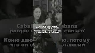 Caballo viejo P2 Letra caballoviejo canciones baile españa español música [upl. by Yeniar918]