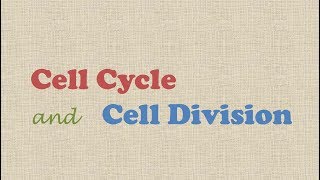 Cell Cycle and Cell Division [upl. by Coombs40]