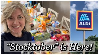 Let’s Restock the Pantry  Aldi Grocery Haul  Food Lion Haul [upl. by Regdirb]