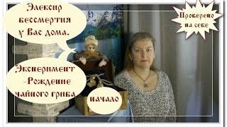 Элексир вечности чайный гриб [upl. by Arlinda598]