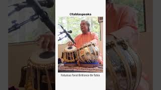 Tabla Solo by PanditSwapan Chaudhari [upl. by Leirea295]