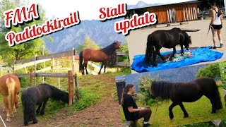 FMA Pferdestall Alltag  Reitbeteiligung Update  Training mit drei Ponys im Roundpen  Paddocktrail [upl. by Regan]