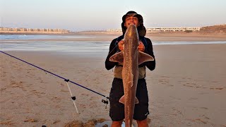 استمتعوا بمشاهدة تقاوص من العيار الثقيل سبينين بيلوطة و تقنية الحي 🔥🎣 [upl. by Suicul]