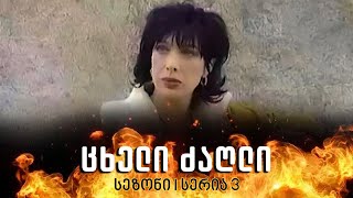 ცხელი ძაღლი  სეზონი 1 სერია 3 [upl. by Rosalia]