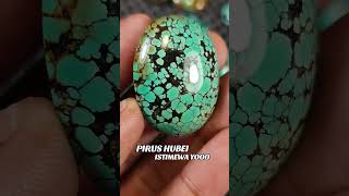 MENYALA BOSS KU‼️PIRUS HUBEI➡️batupirus pirushubei batupirushubei turquoise fyp [upl. by Naujit]