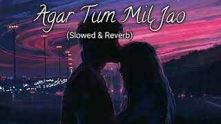 🥰Agar Tum Mil Jao Jamana Chod Denge💞Slowed And Reverb😓Shreya Ghoshal  Hindi Lofi Music Viral Hub [upl. by Annaet]