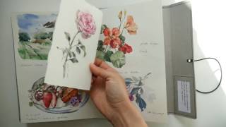 3rd watercolor journal flip through [upl. by Akirdna]