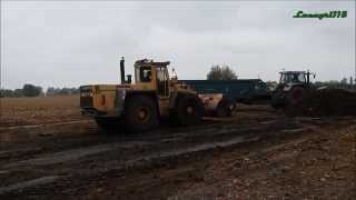 Fendt Favorit 824926  Spandiletame BossiniMANURE SPREADING [upl. by Oznofla]