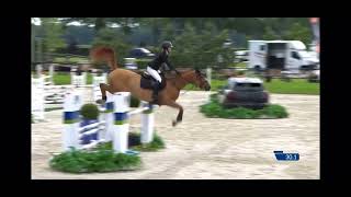 OMero van’t Streyhof CSI1 Kessel 9th place [upl. by Adnileb410]