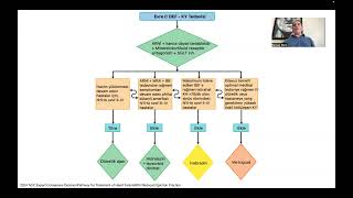 10 Years of Experience with ARNI SacubitrilValsartan in the Treatment of Heart Failure [upl. by Habeh766]