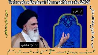 محرم ماہ انقلاب ہے  Moharam maah e inqilab hy  syed Jwad naqwi سید جواد نقوی [upl. by Tess837]